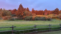 Looking to the east at sunset on the front porch with the sunlight still on the trees.