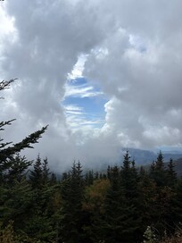This is on the walk up to Clingman’s Dome.