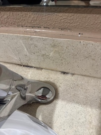 Mold in sink and shower floor