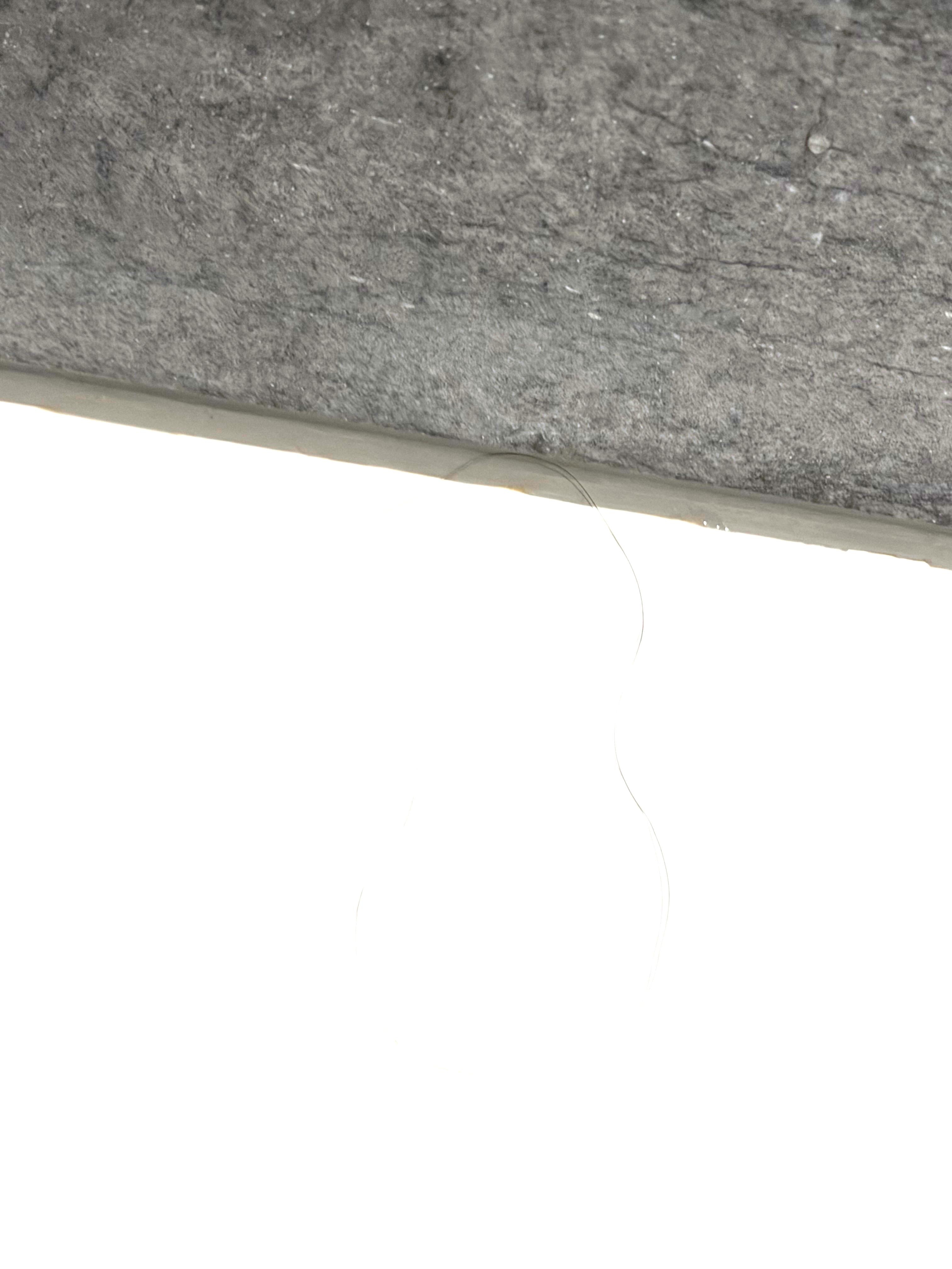 Weiteres langes (Frauen)Haar in der Dusche