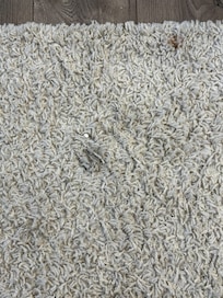 Living room rug