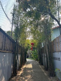 Entrance from the busy street front