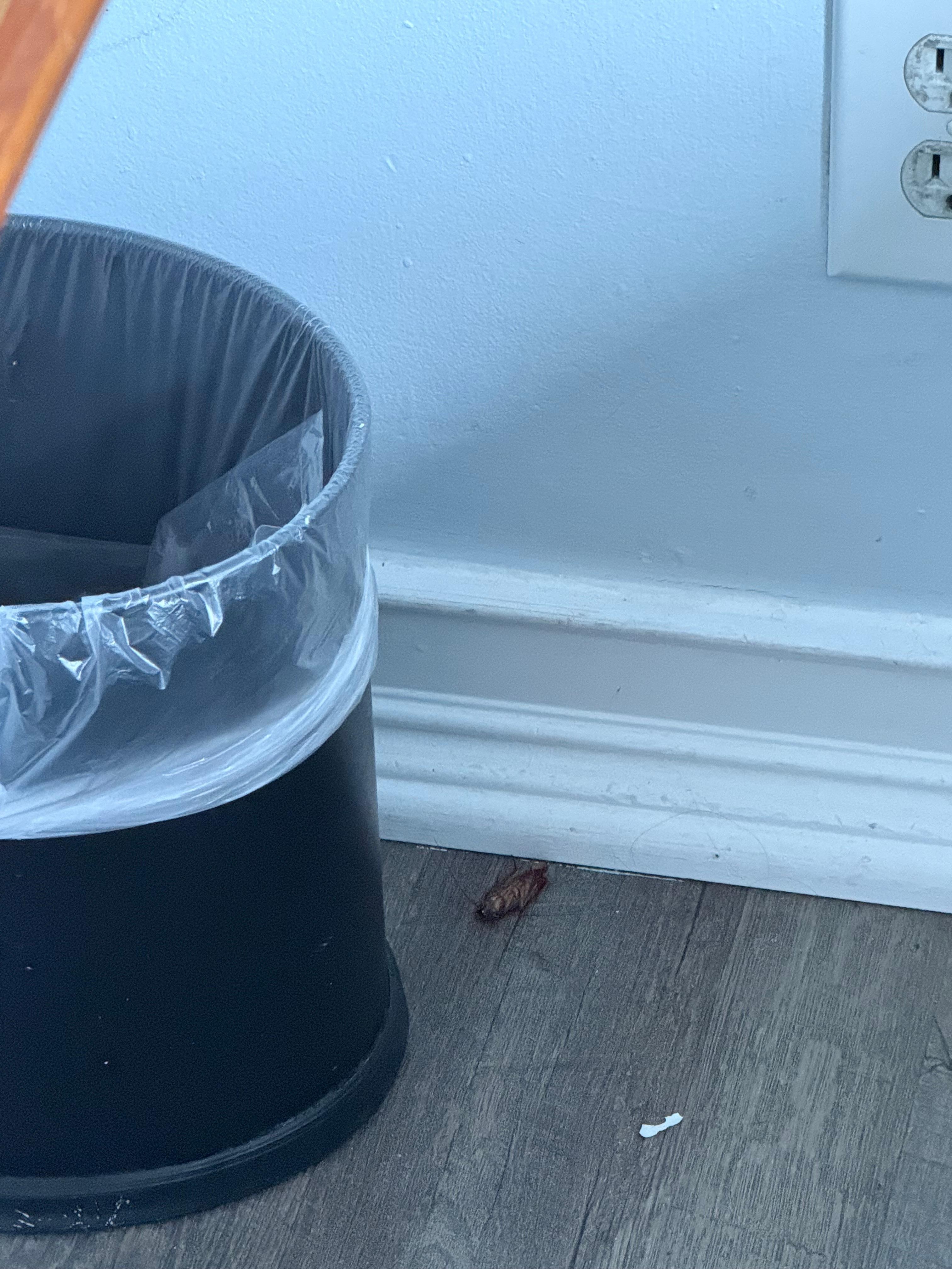 Wish I would’ve noticed this in the very beginning of stay.