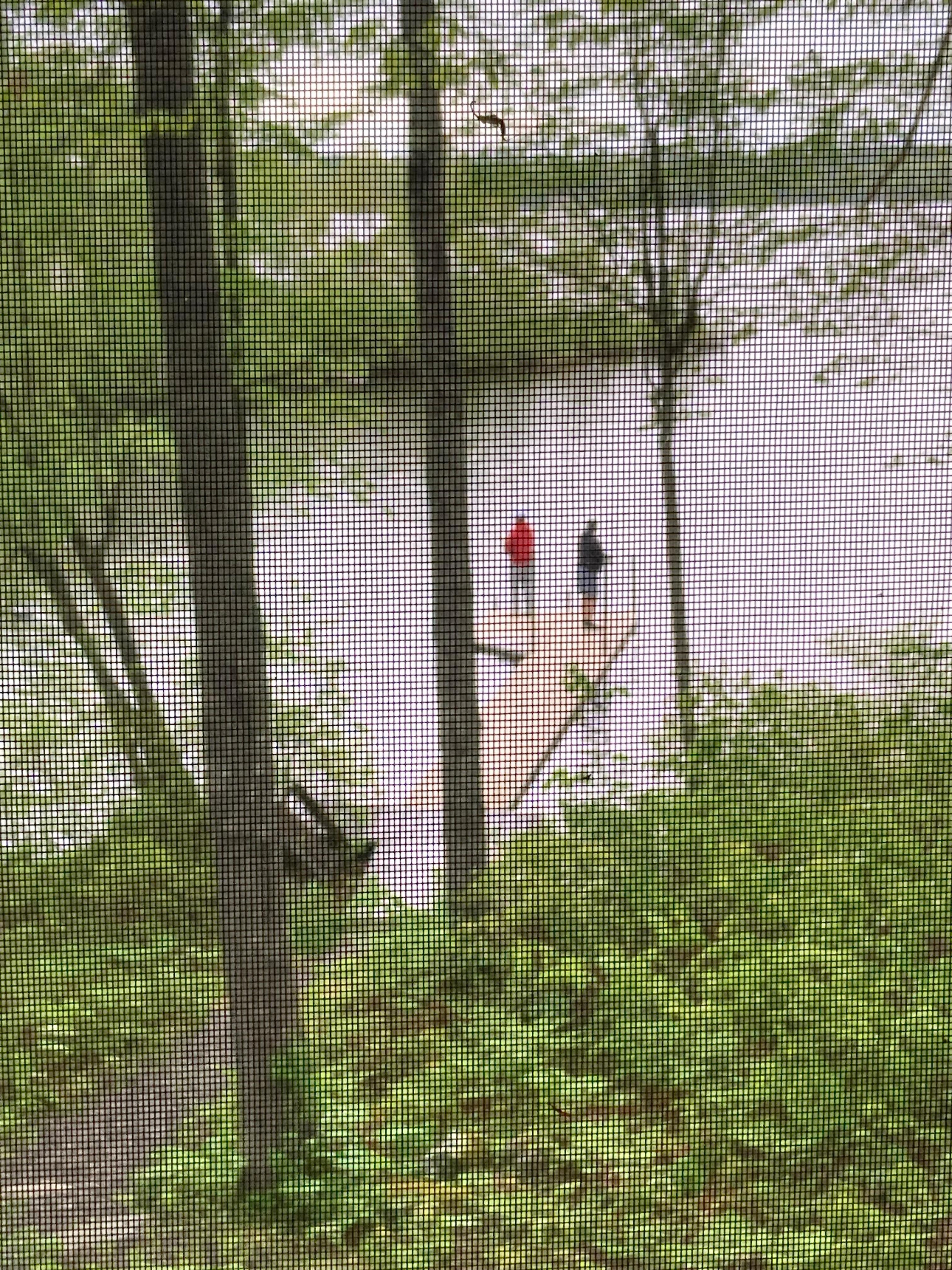 Close walk to the dock