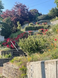 The stairs that are nearby, down to the beach, promenade & pier.