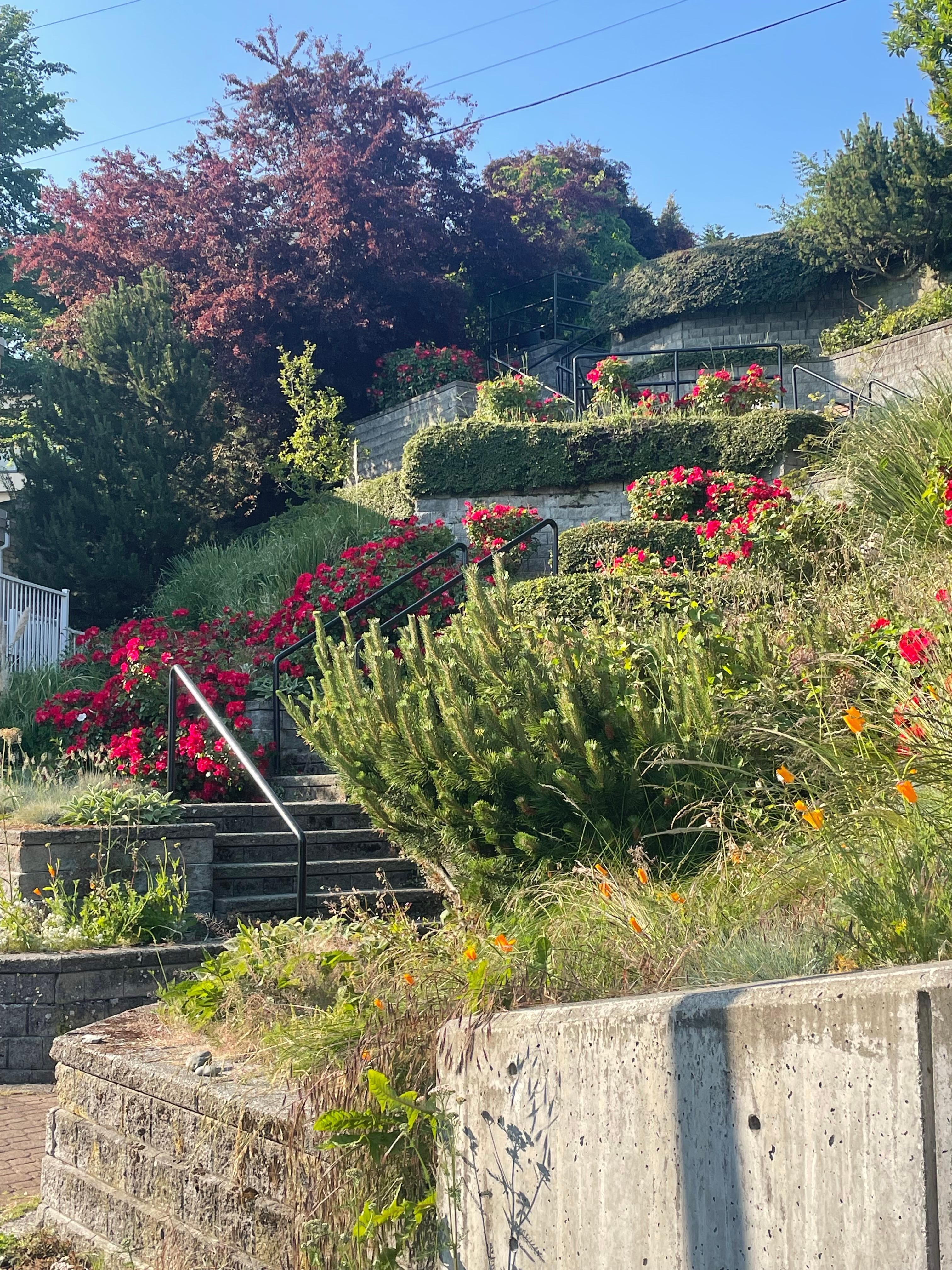 The stairs that are nearby, down to the beach, promenade & pier. 