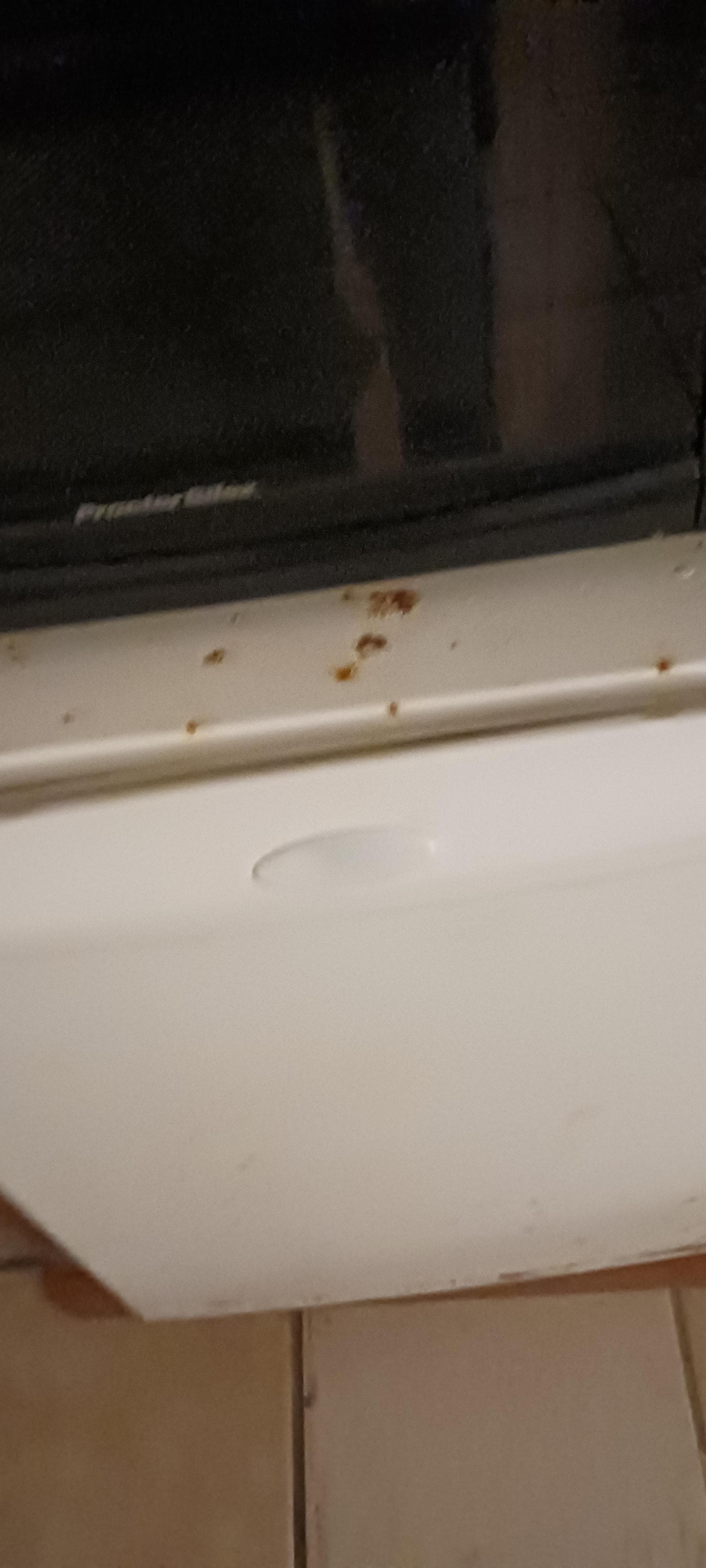 Rust on the refrigerator that did not work