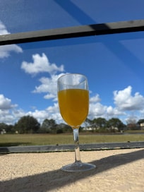 My son took pic of our mimosa