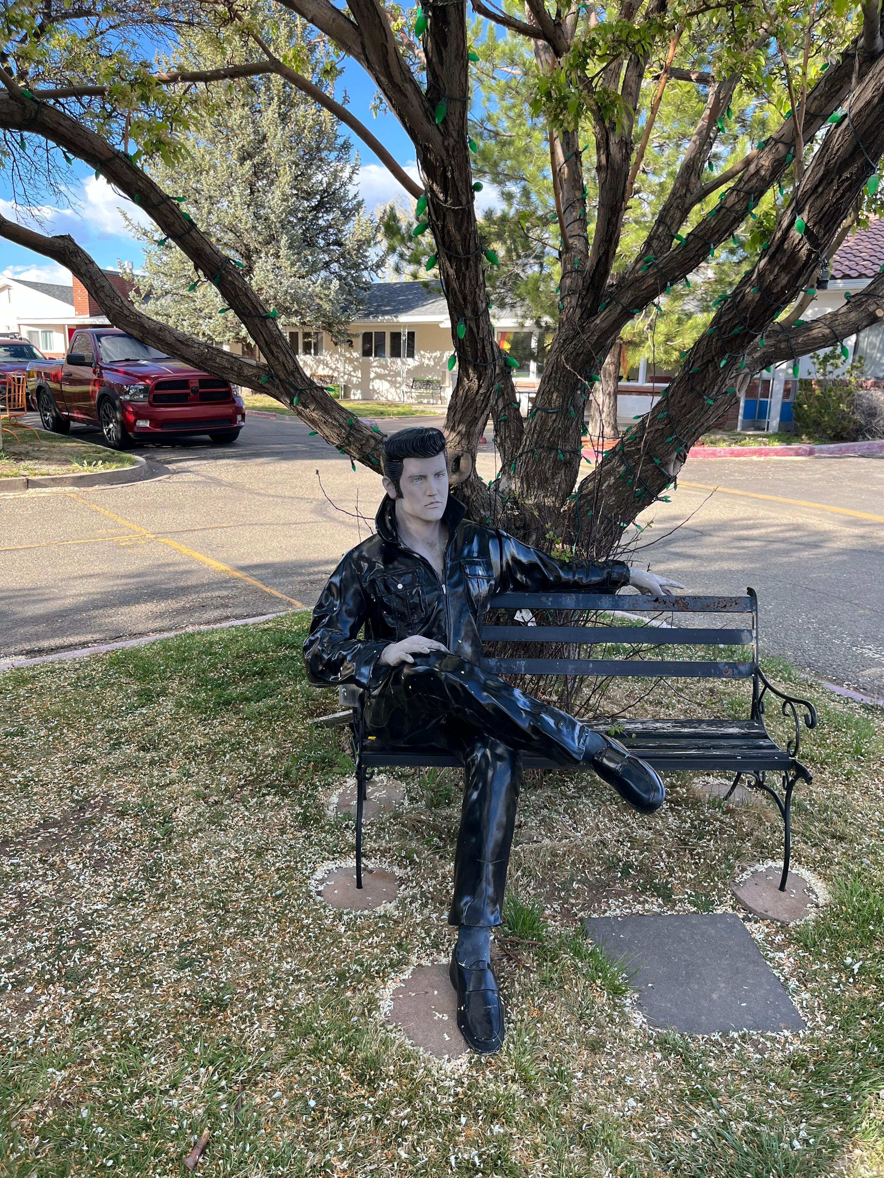 Elvis guarding the property 