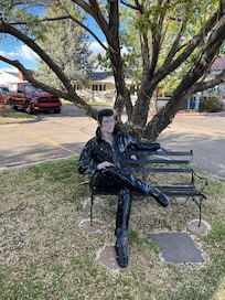 Elvis guarding the property