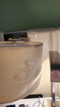 Moldy lamp