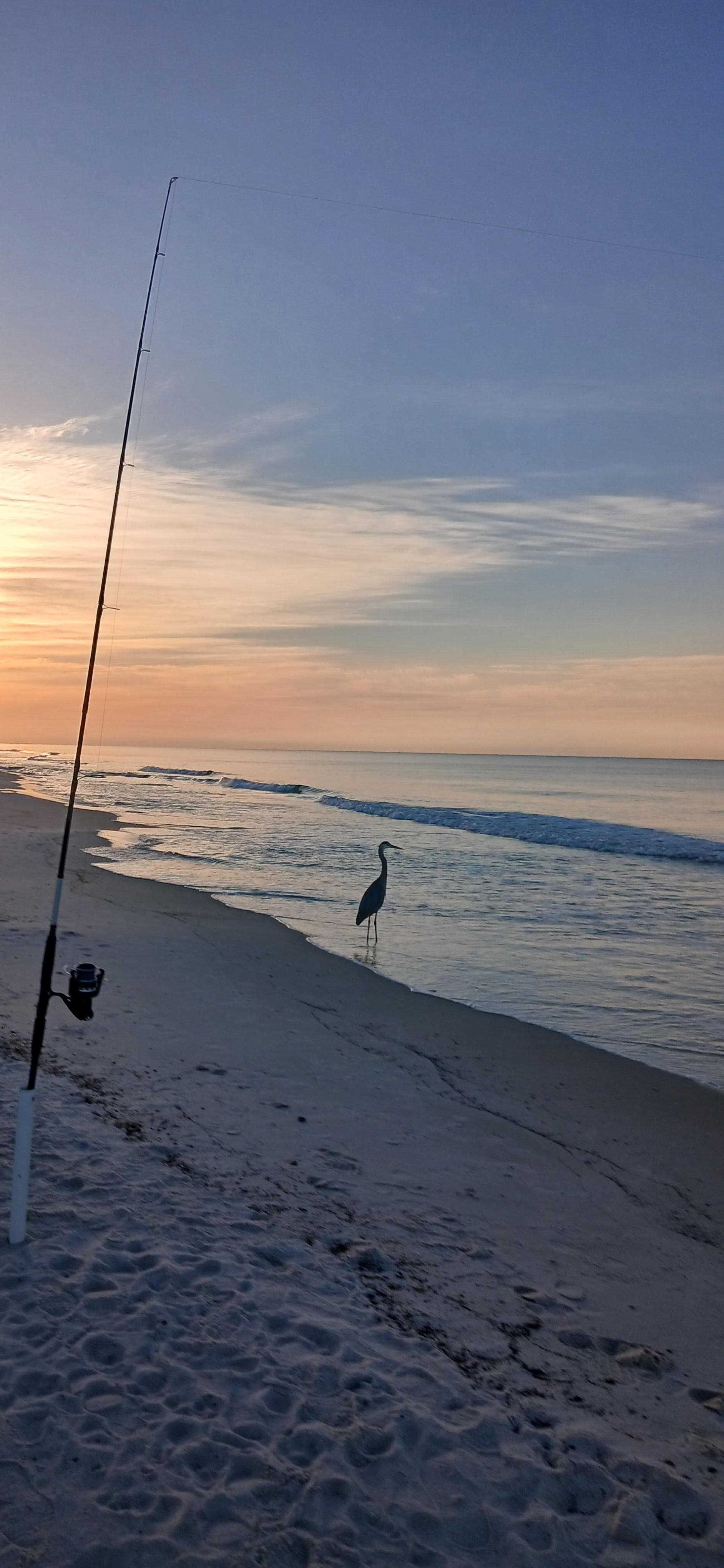 Fishing near the condo 
