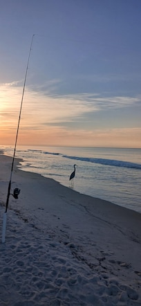 Fishing near the condo
