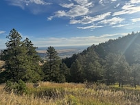 From the porch.