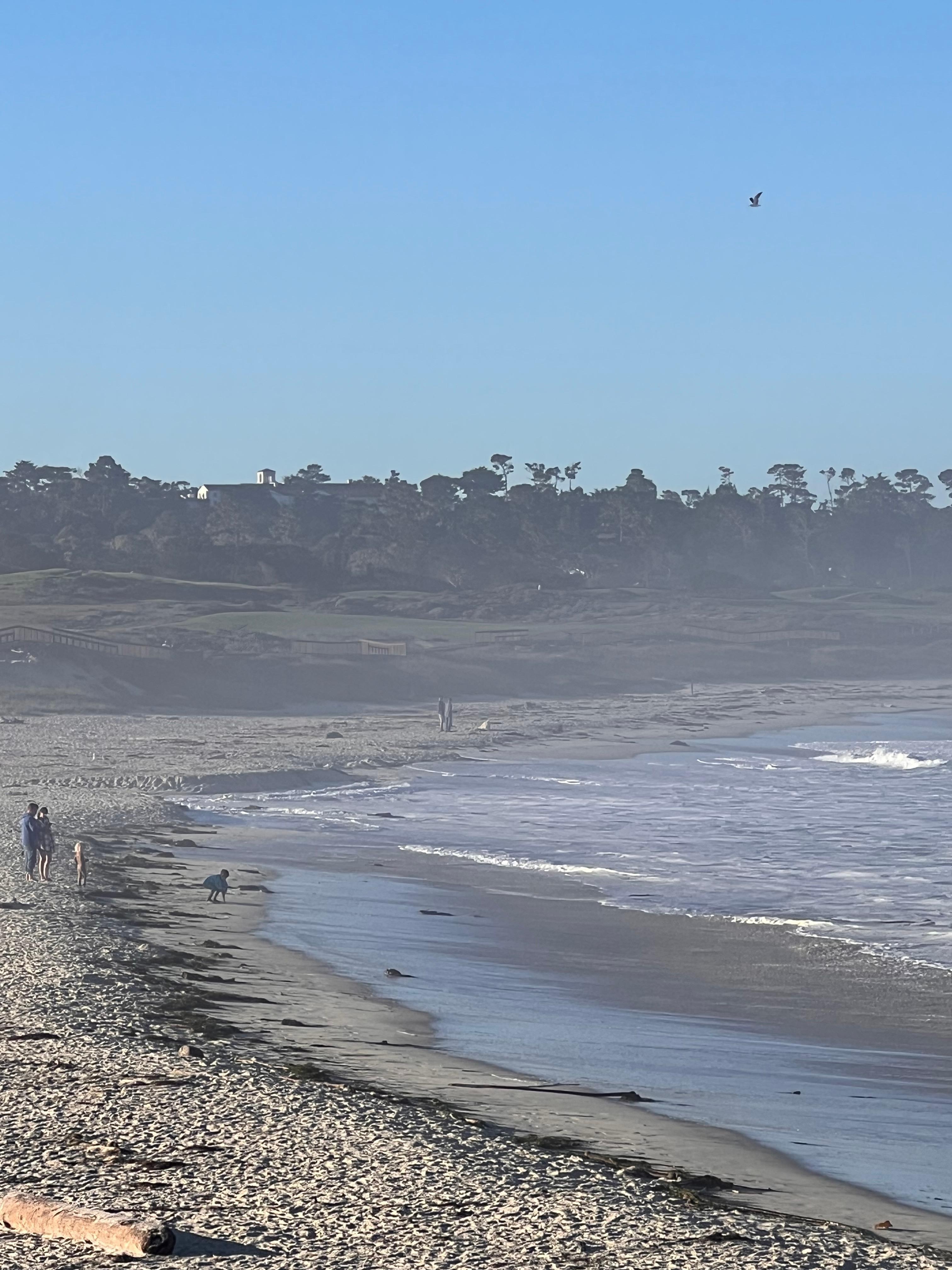 Asilomar beach is about a 10 minute walk from motel