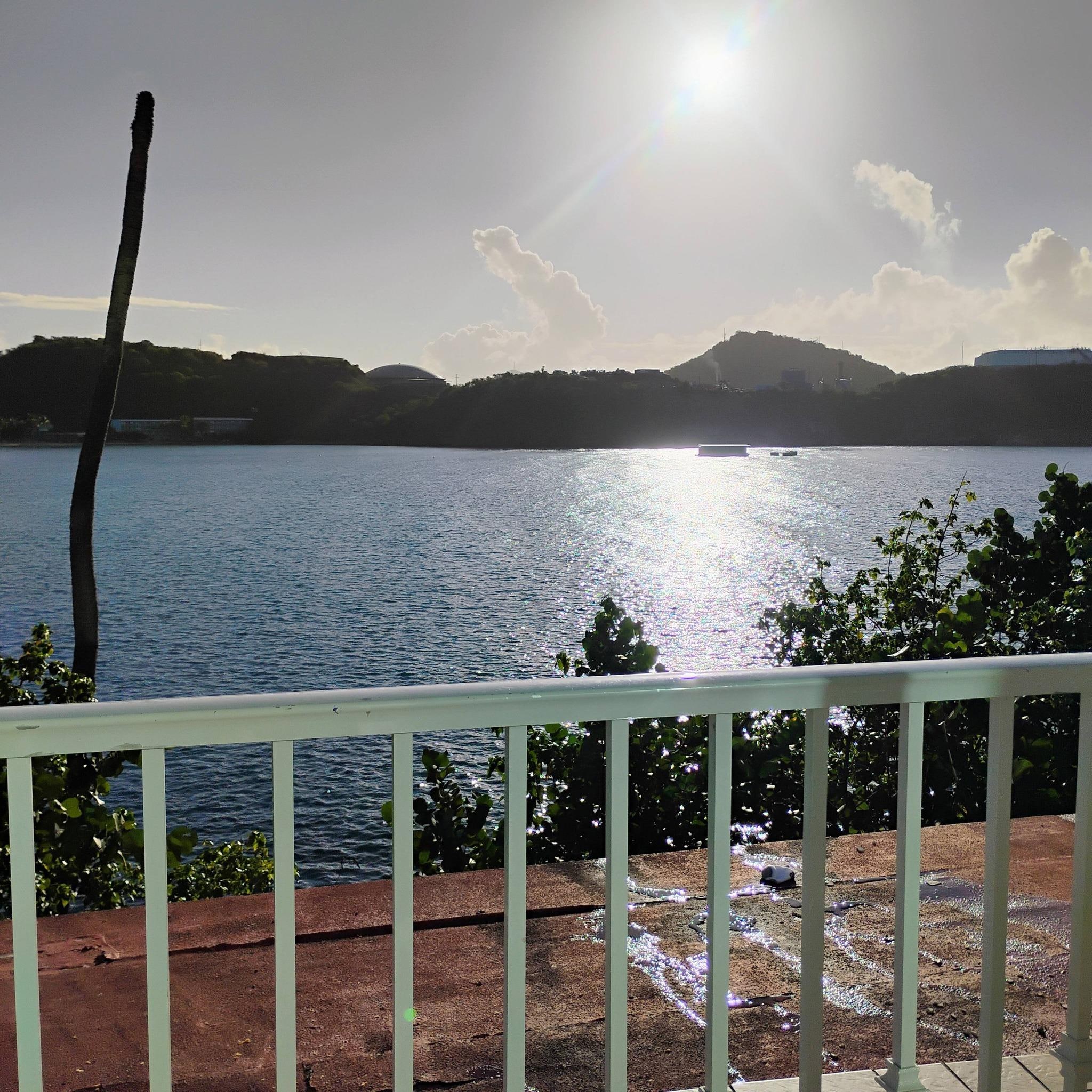 View from my balcony was nice except for the ugly roof below and the dead tree...