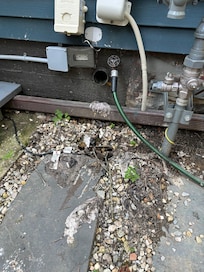 Sewage out of house and all the way across the yard.