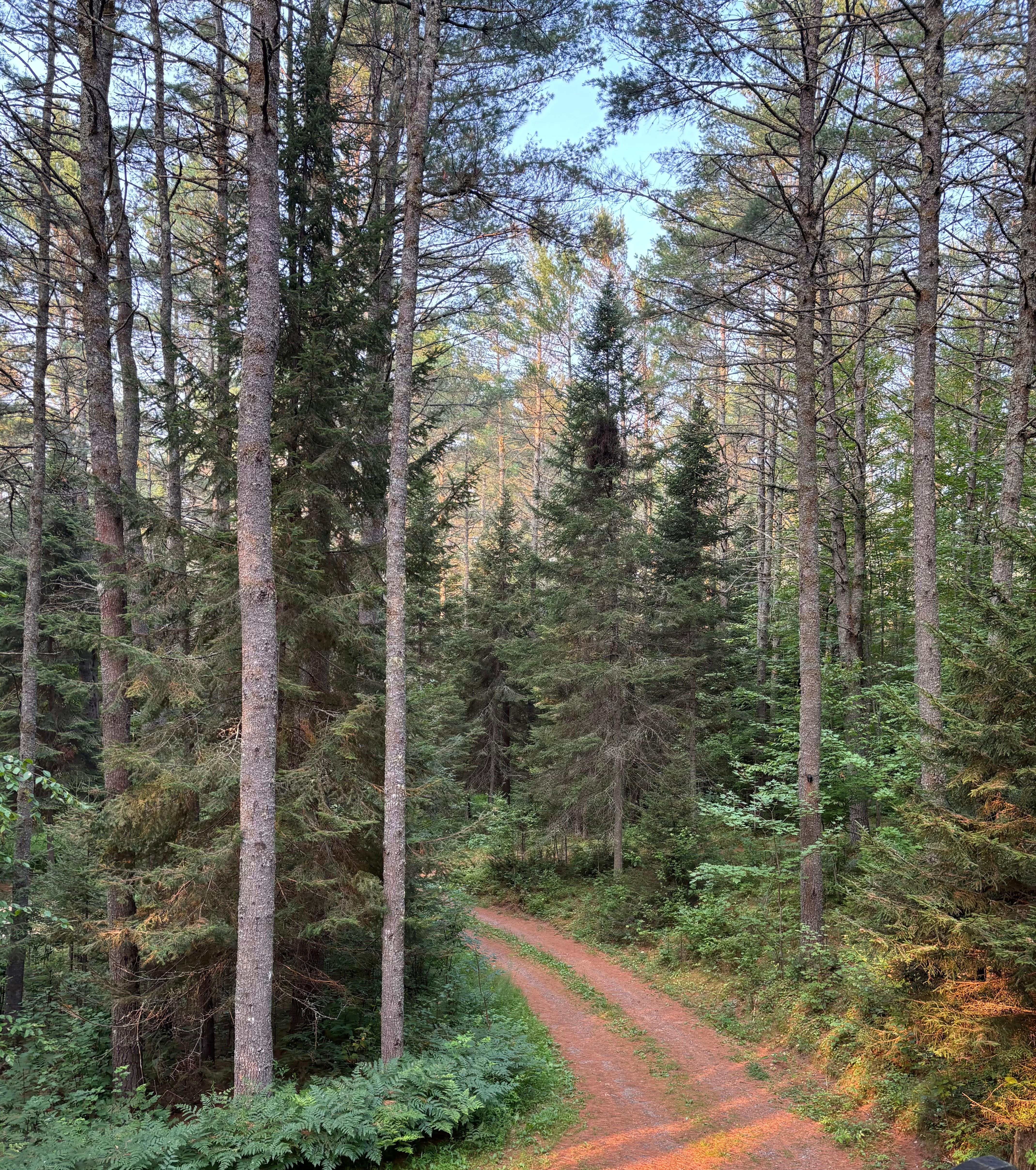 View from front porch.