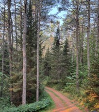 View from front porch.