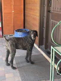 We met Jackson, the dog, who was very friendly and sweet.