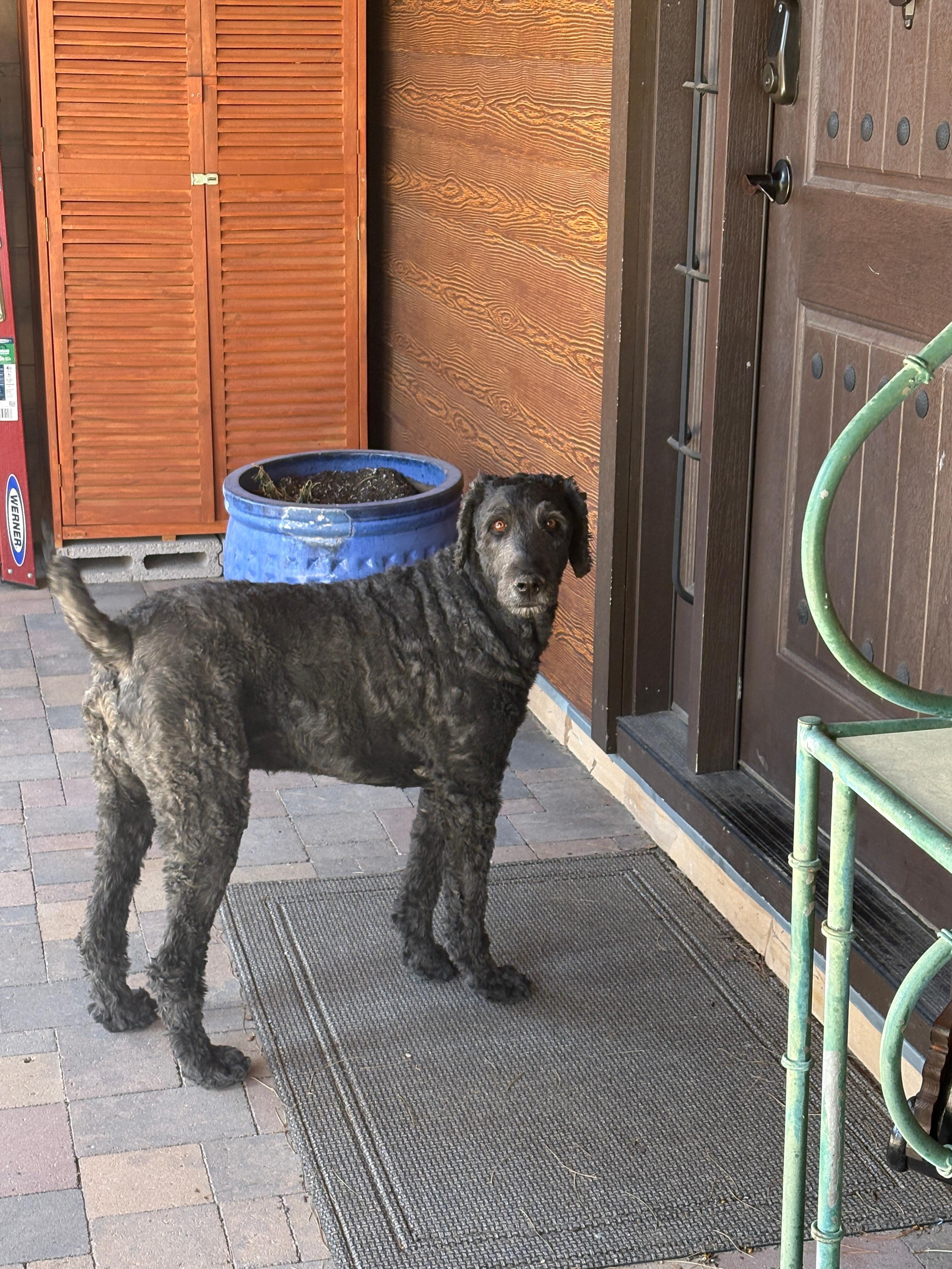 We met Jackson, the dog, who was very friendly and sweet.