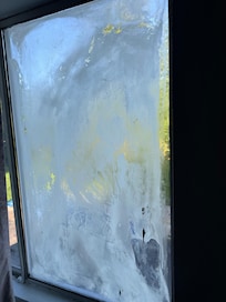 Window