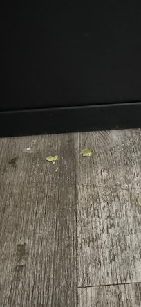 Bedroom floors