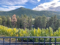 View from our patio