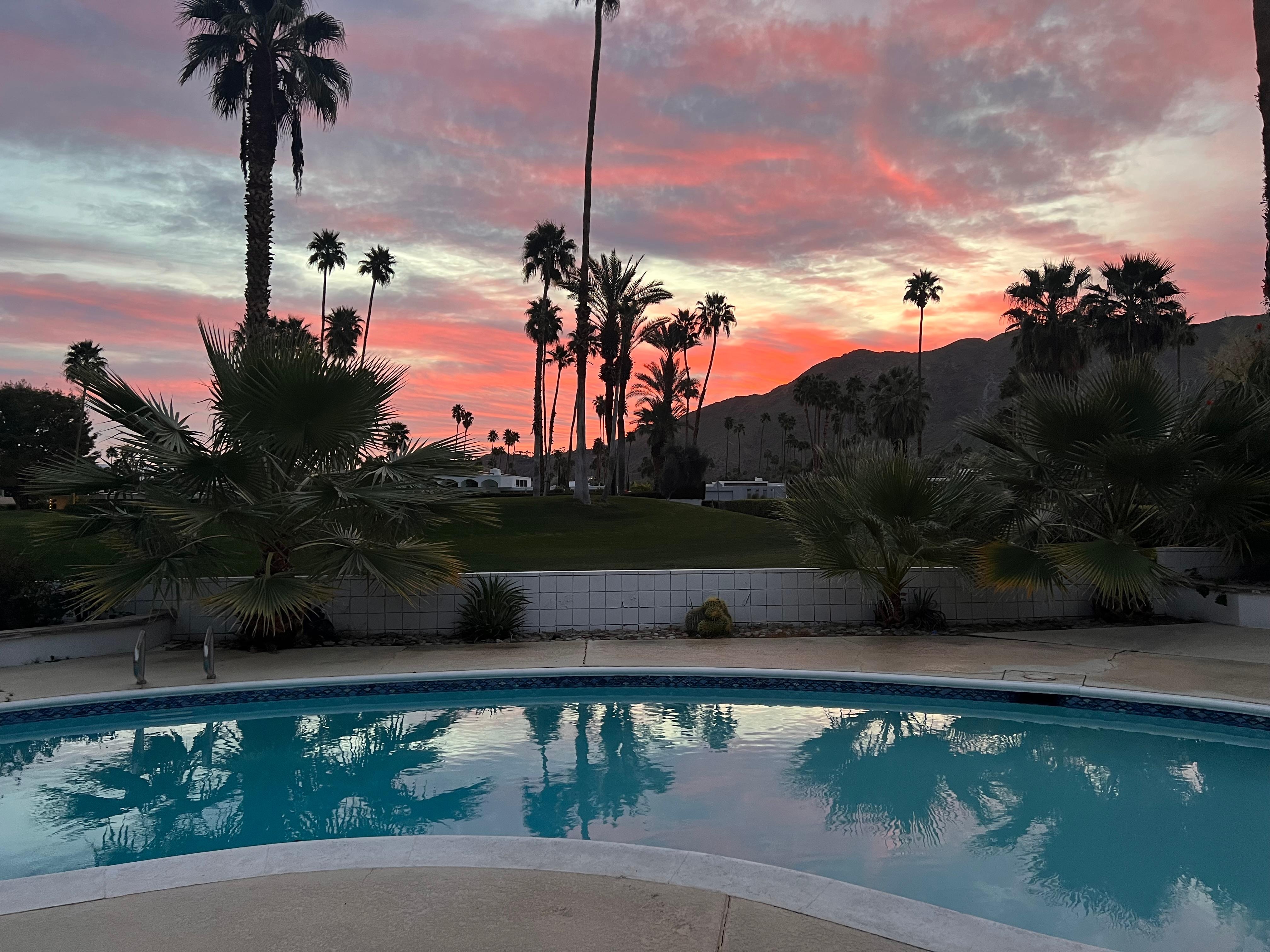 Morning view from poolside