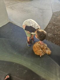 The coolest cat on the block.