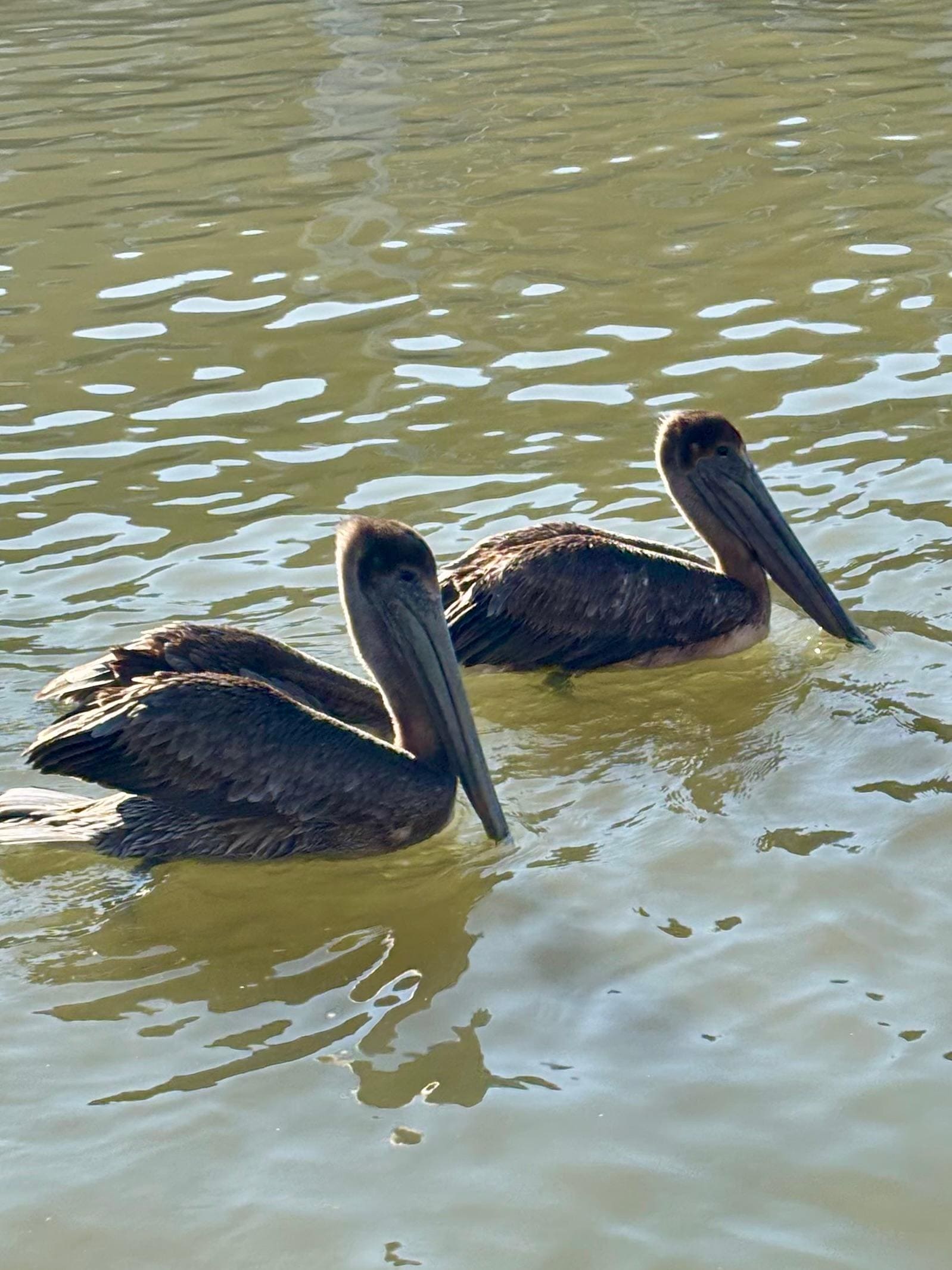 Smack in the middle of the “fishing capital of the world”