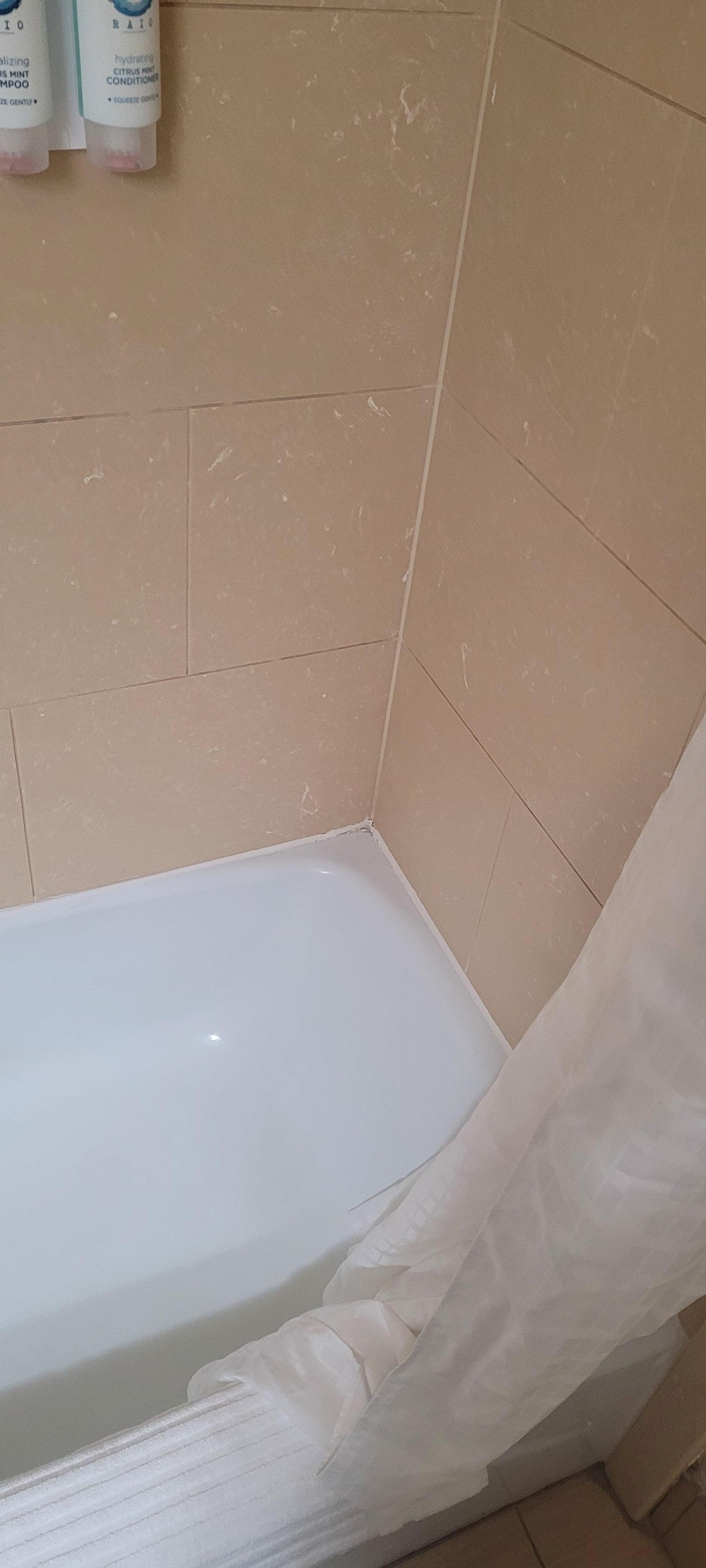 Toilet and fixtures had rust and mildew