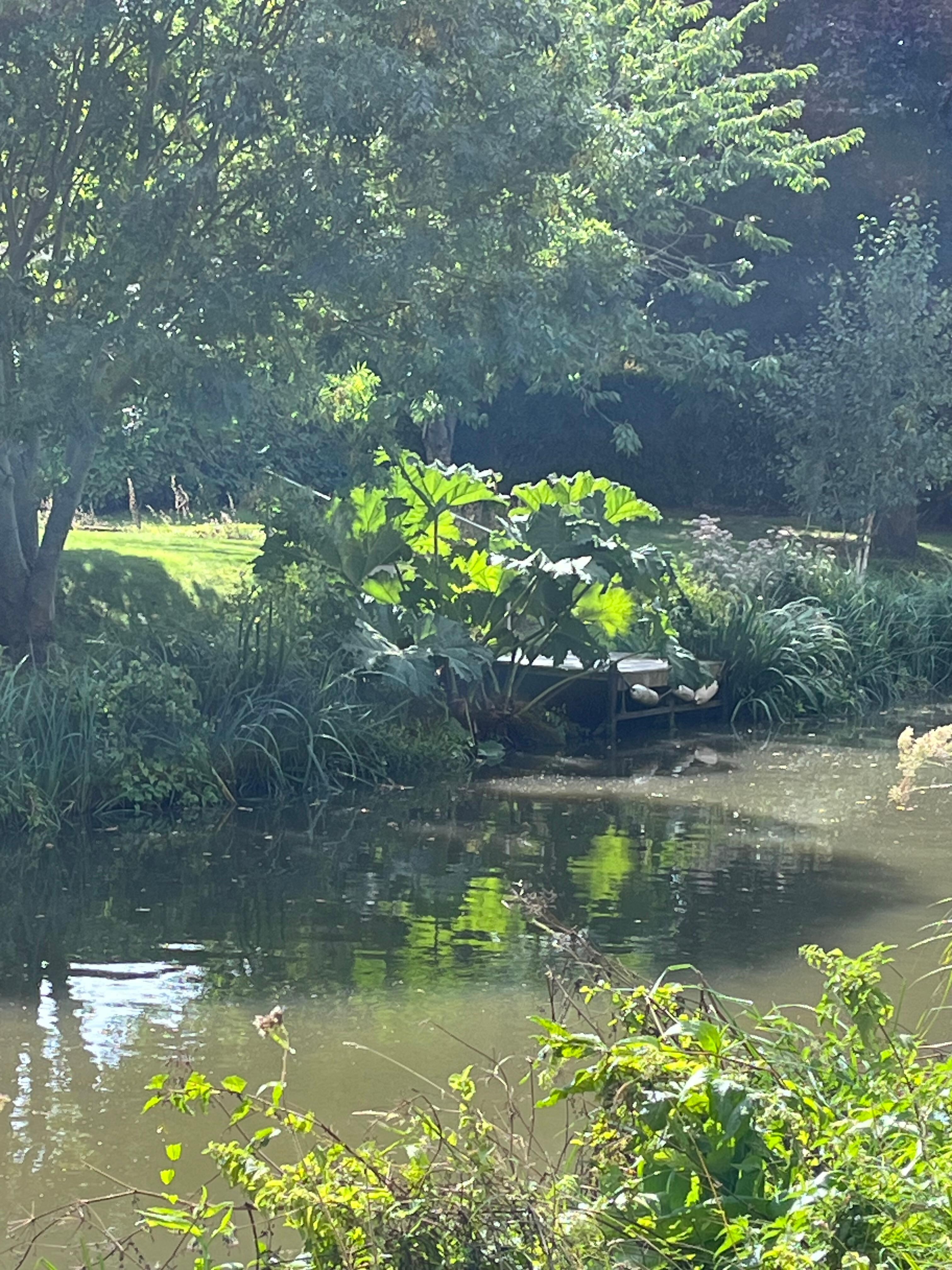 Photo taken while walking along the beautiful Kennet-Avon Canal in Bath