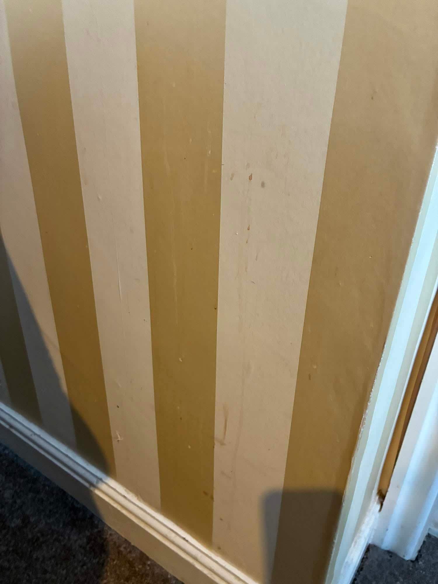 Peeling wallpaper covered in spills and stains
