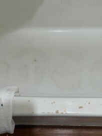 Spider in shower