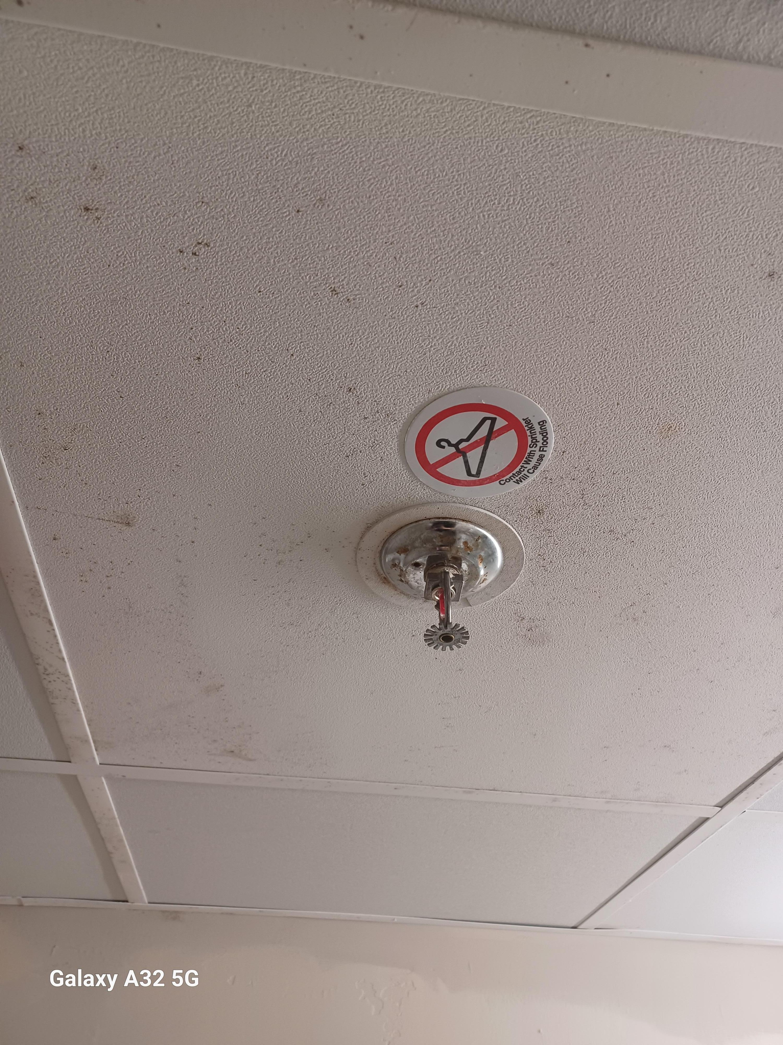 This is  the bathroom 