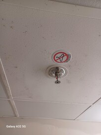 This is the bathroom