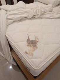 Badly stained mattress