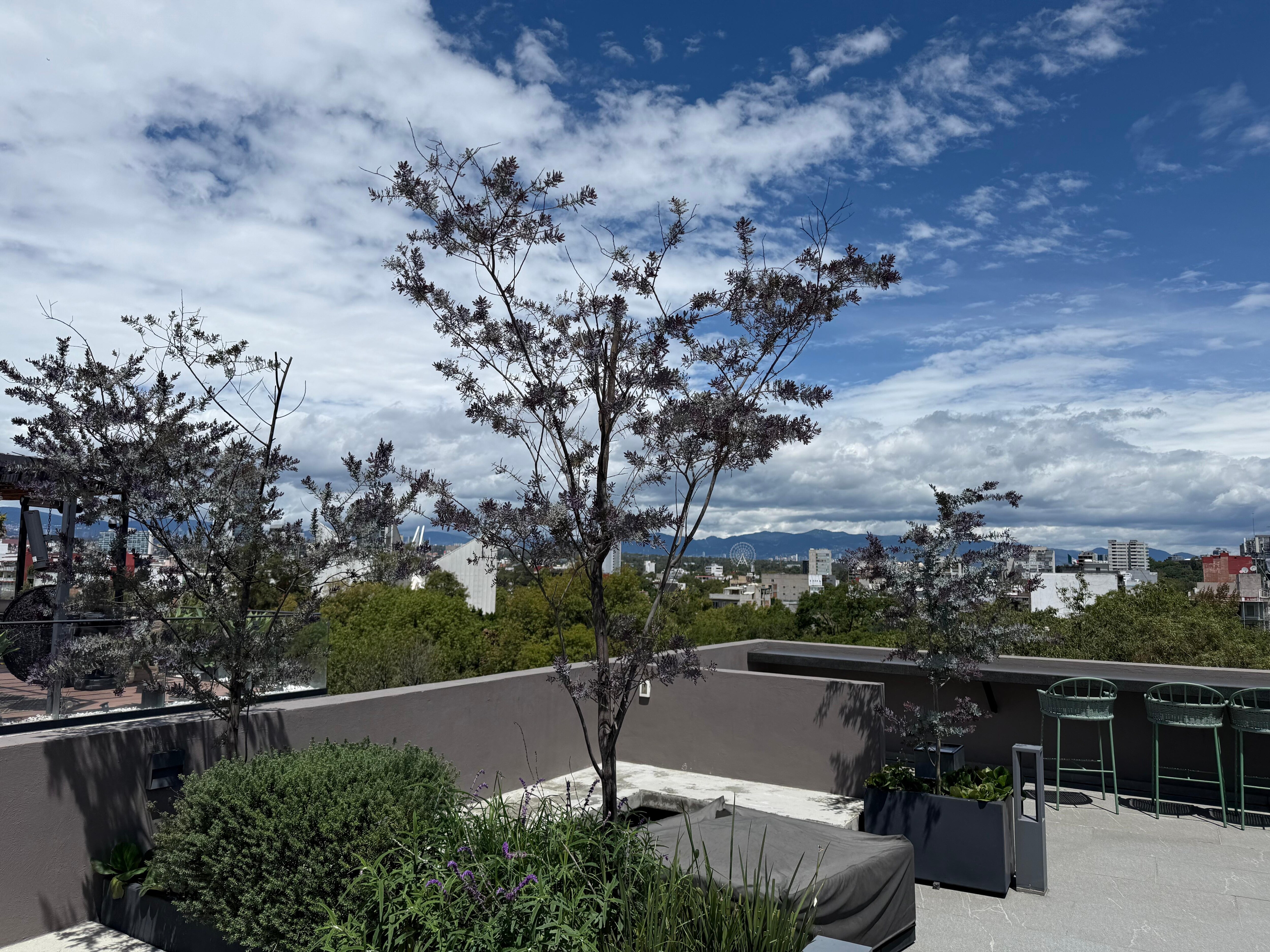 Public Roof deck view 