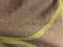 Duvet blood