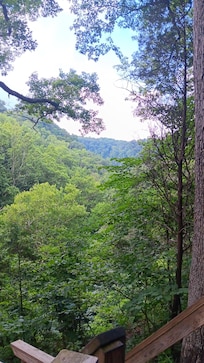 *from Clifty Falls