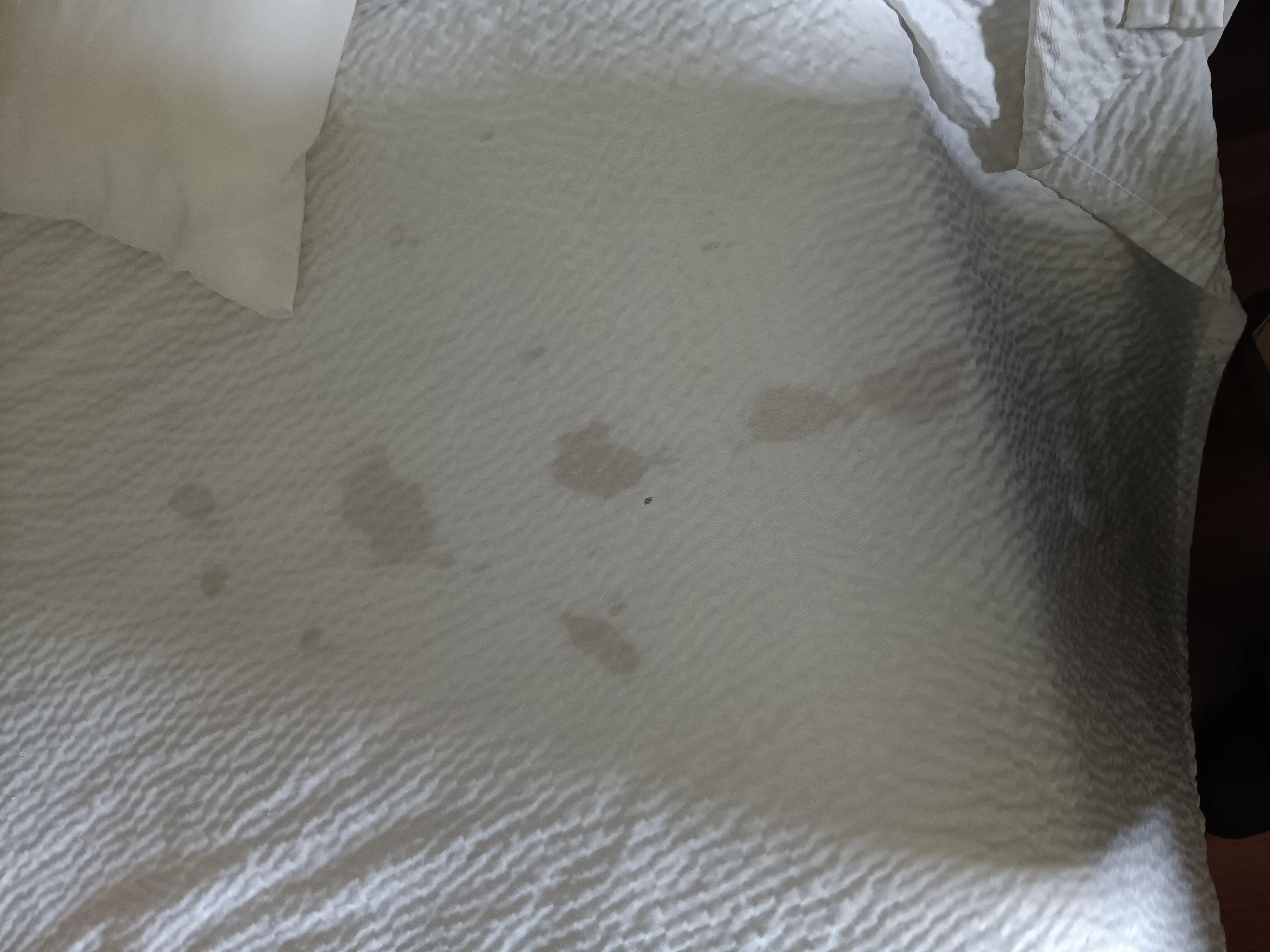 One of several stained bits. I covered the chair with the towels from the bathroom, and the tub was so bad that my wife would not shower in it. This was upon checkin.