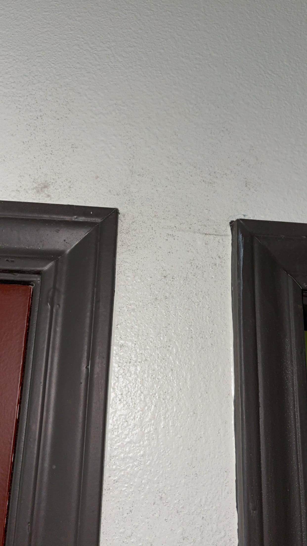 Mold