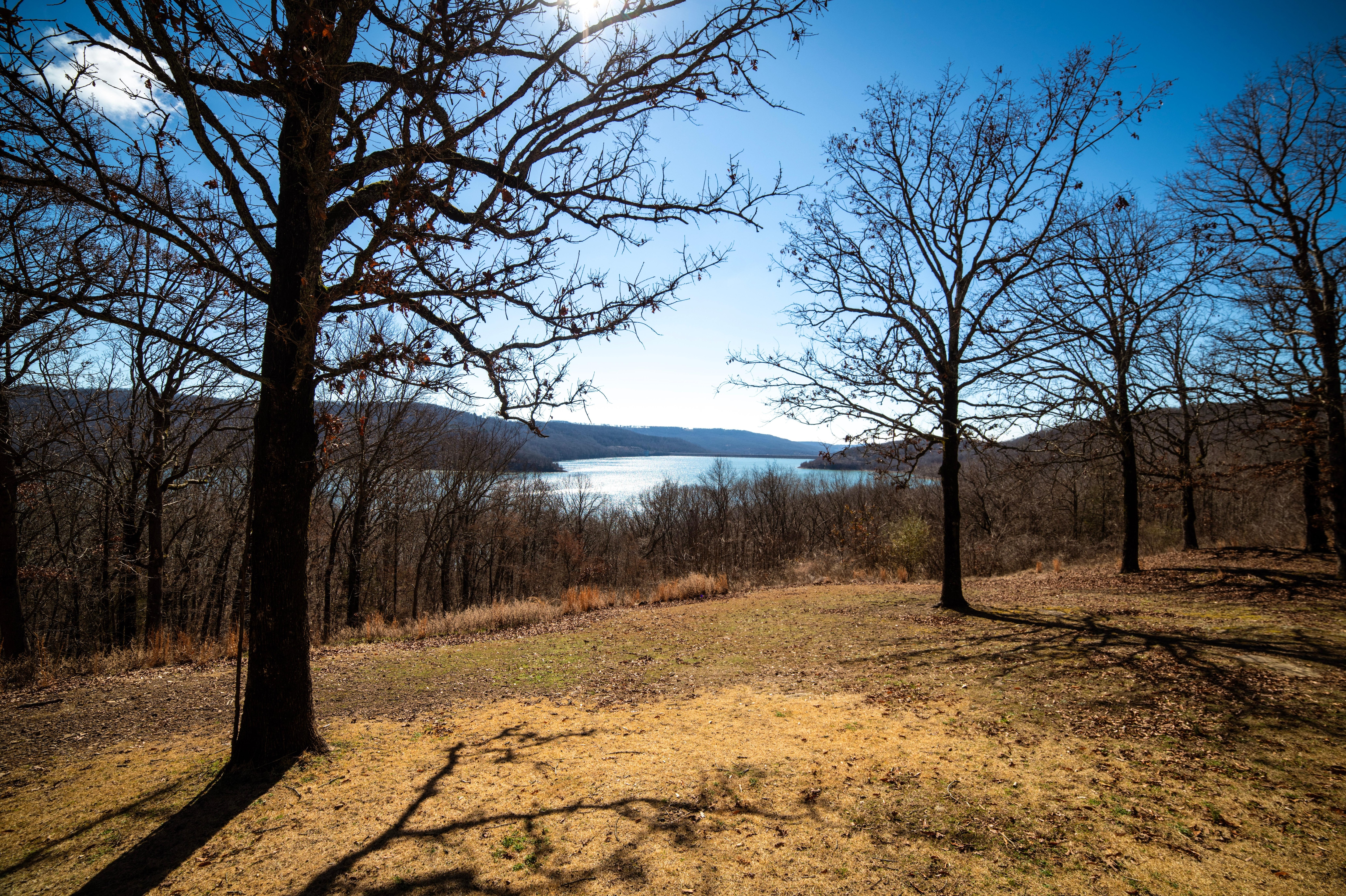 View from the back porch