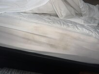 Stains
