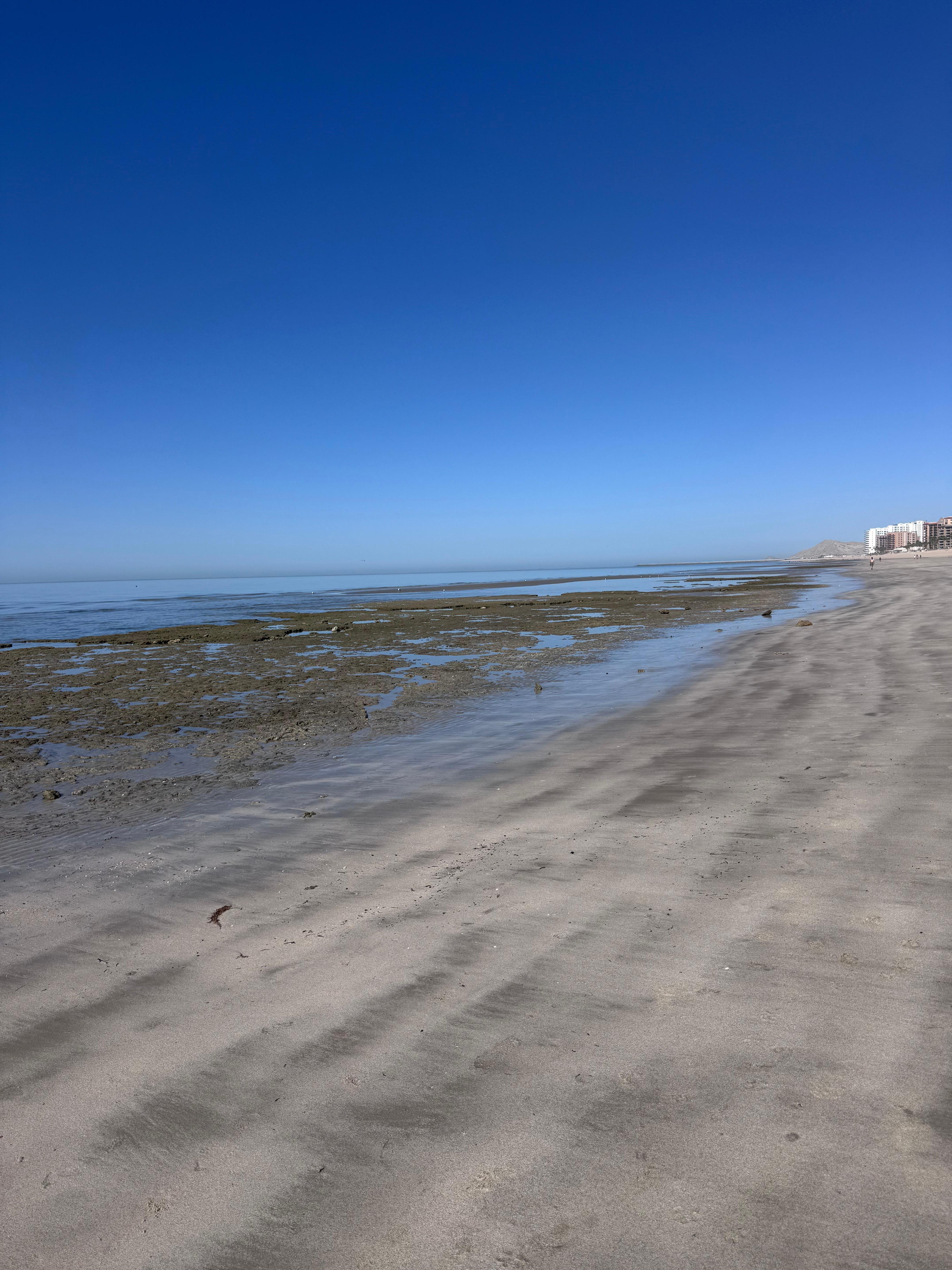 Looking down the beach at low tide