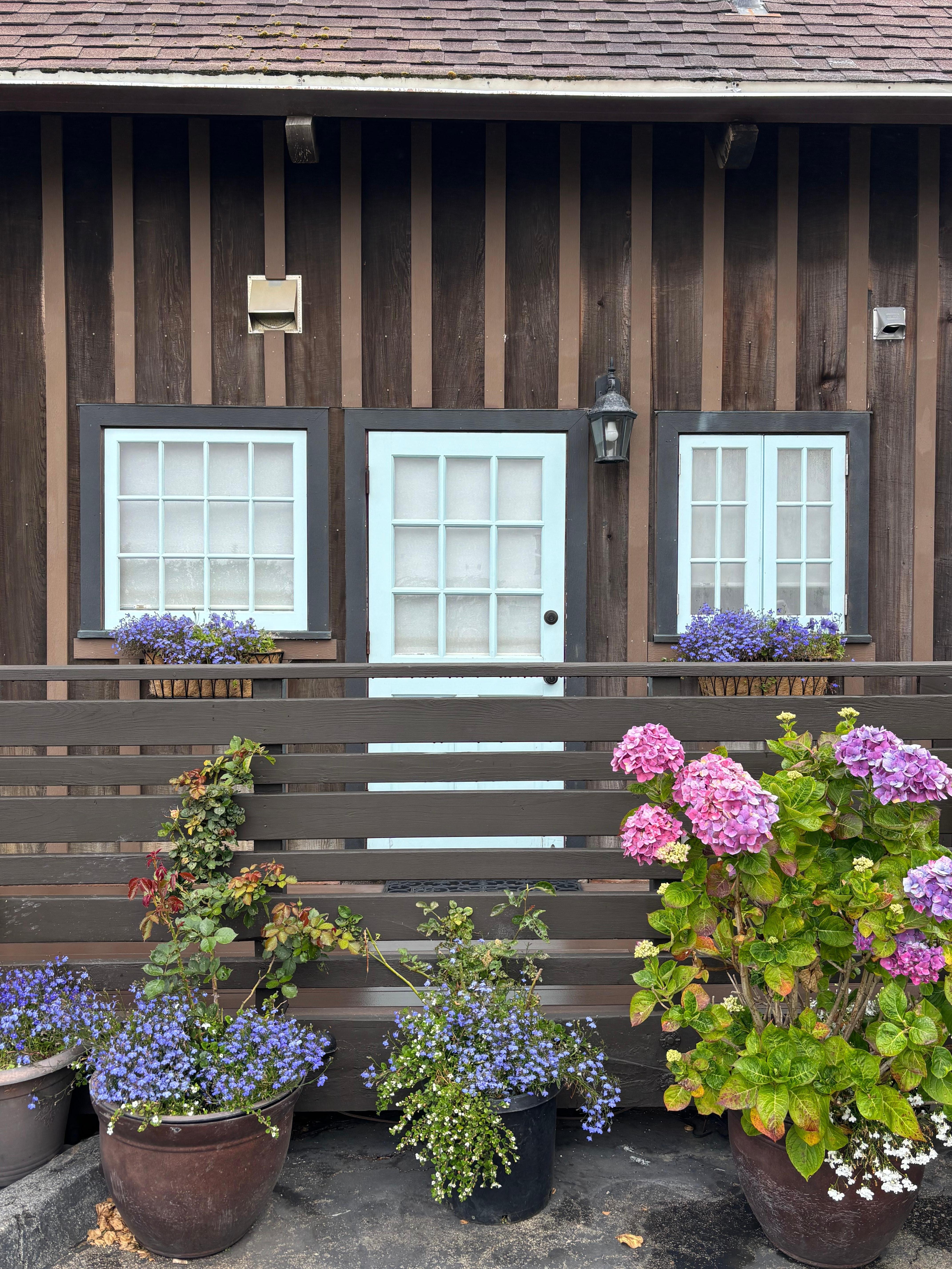 Cute flower boxes and flowers everywhere 