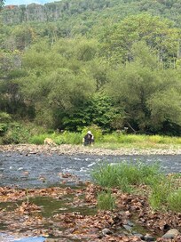 Relaxing by the creek