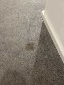 Stains on the carpet