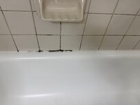 Mold